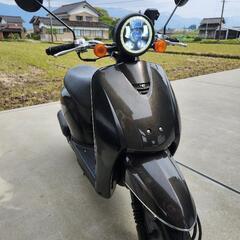 ホンダ  TODAY  AF61  ブラウン   ☆カスタム多数☆自賠責令和11年まで！の画像