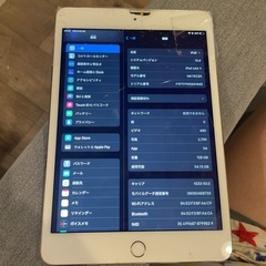 ジャンク品　 iPad mini4 本体のみ