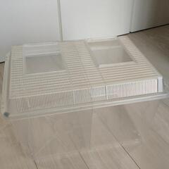 飼育ケース  仕切り板付き