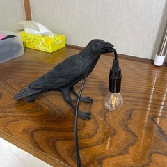 カラス電気