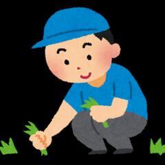 草むしり、お庭の清掃対応、4/28.30.5/1.2対応で…