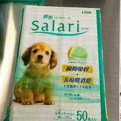0425-127 おむつ　Salariサラリ