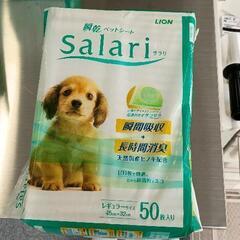 0425-126 おむつ　Salariサラリ