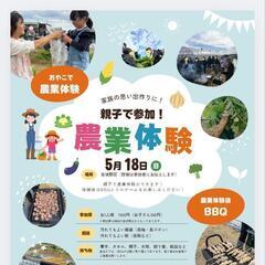 親子で農業体験とBBQに参加しませんか⁉️