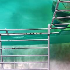 ハムスター用ケージの画像