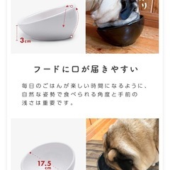 ペット　フードボウル　餌皿　陶器　犬用　犬皿の画像
