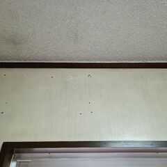 万能除菌クリーナーを教えて