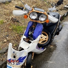 バハ　ディオ　レストアベース