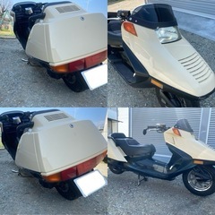 ホンダ　フュージョン　MF02 ベージュの画像