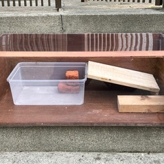 亀用ケージ