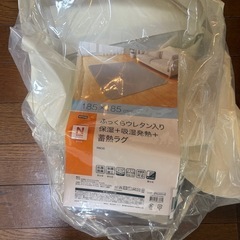 【4/27か28のお渡し】ニトリ　ふっくらウレタン入り　蓄熱ラグ　　185cm x 185cm 薄いグレーの画像