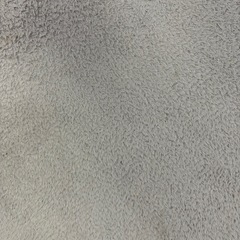 【4/27か28のお渡し】ニトリ　ふっくらウレタン入り　蓄熱ラグ　　185cm x 185cm 薄いグレーの画像