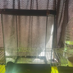 エキゾテラグラステラリウムナノ②