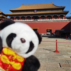 海外旅行へ行く方！ぬいぐるみ連れてってください。