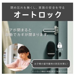キュリオロック　セット
の画像