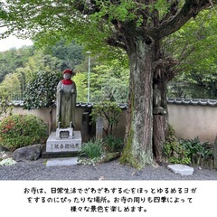 相模原市緑区:お寺ヨガ🧘🏻‍♀️春の参加者募集の画像