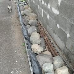 石 の画像