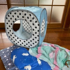 ねこのきもち　付録　　キュービックテント　他　
