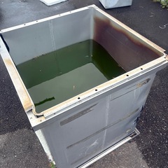 メダカを入れてある容器