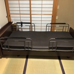 電動ベット