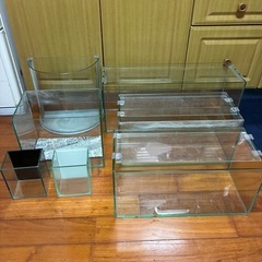 60cm水槽の中古が安い！激安で譲ります・無料であげます｜ジモティー