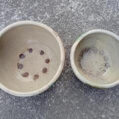 鉢の画像