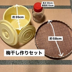 梅酒果実酒　作成3点セット