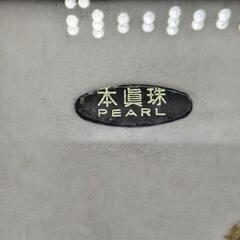 標本　養殖真珠貝額装壁飾りの画像