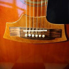 【美品】Aria&Co. アコースティックギター ヴィンテージ アコースティックギター ヴィンテージ 通販