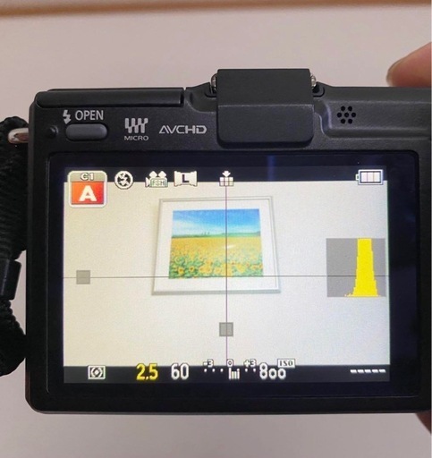 本体　美品　Panasonic GF2 Lumix