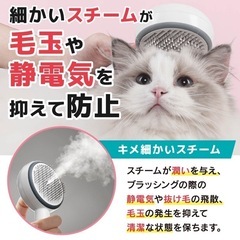 【新品】充電式　ペットブラシ スチームブラシ ミストブラシ の画像