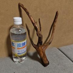 💦値下げ🛑h天然流木の画像