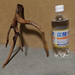💦値下げ🛑h天然流木の画像