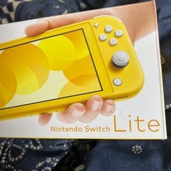 Nintendo Switch light ニンテンドースイッチライト (k) 安積