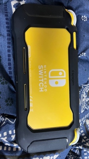 Nintendo Switch light  ケース　ソフト付き　ニンテンドー　スイッチライト