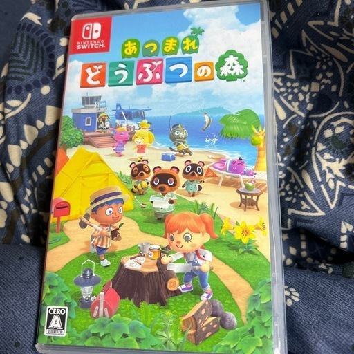 Nintendo Switch light  ケース　ソフト付き　ニンテンドー　スイッチライト