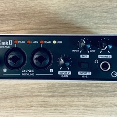 steinberg UR22Mk2 オーディオインターフェース (夏空きらり) 本