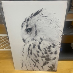 ふくろうのアートボード
