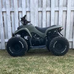 バギー ATV  ユナリ