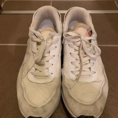 （値下げ中）NIKE WAFFLE DEBUT サイズ28cmの画像