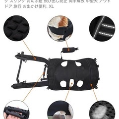 犬　リュック
の画像