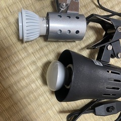 エキゾテラ　爬虫類　飼育セットの画像