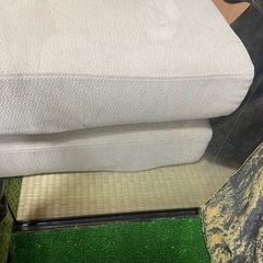 エキゾテラ　爬虫類　飼育セットの画像