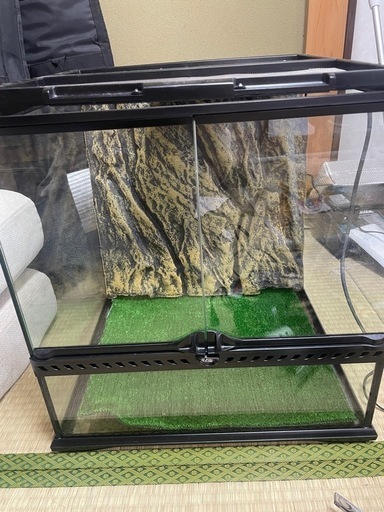 エキゾテラ　爬虫類　飼育セット