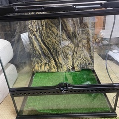 エキゾテラ　爬虫類　飼育セット