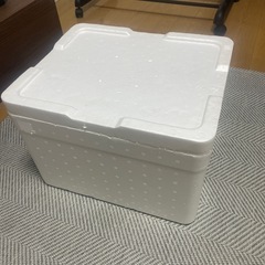 発泡スチロールの箱