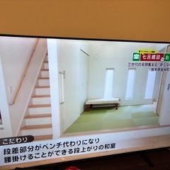 REGZA 65M550M テレビ 本体