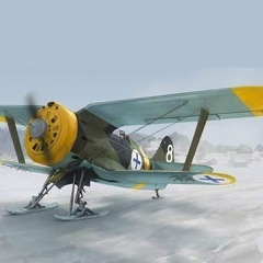 ICM ポリカルポフ I-153 (winter version...