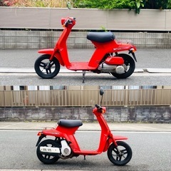 ホンダ　スカイ50(2スト)小さくて可愛いけどしっかり走る一台♪ GW爆裂SALEの画像