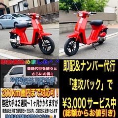 ホンダ　スカイ50(2スト)小さくて可愛いけどしっかり走る一台♪ GW爆裂SALEの画像
